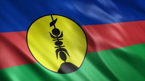 New Caledonia Flag Stock Footage 249035343