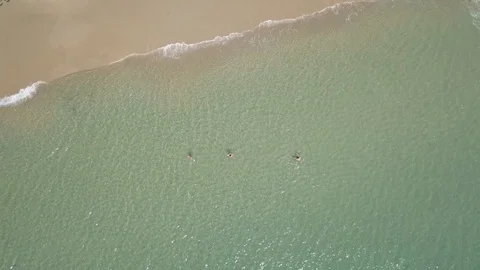New Chums Beach in the Coromandel Peninsula, New Zealand. Vidéo 100359130