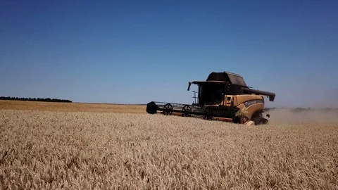 New combine harvests wheat on the field Stock-Footage 117342803