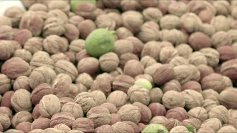 New Crop Fresh Walnut Stacks Offer Health on Market Counter Stock Footage 297910995