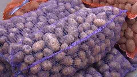 New crop potatoes packed in mesh bags 스톡 동영상 223816676