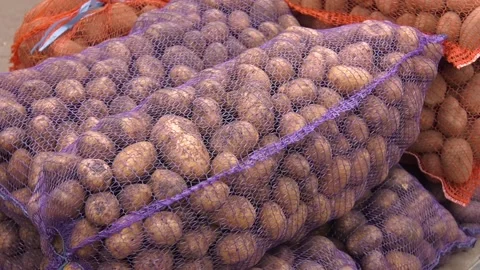 New crop potatoes packed in mesh bags. Stock Footage 223816682