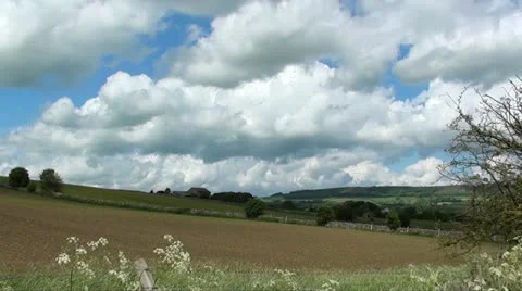 NEW CROPS Stock Footage 11147923