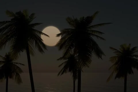 The New Day Stock Footage 309833461