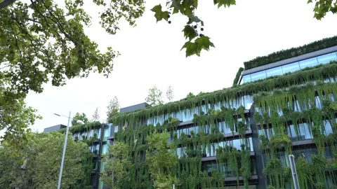 New ecological building Stock Footage 219208470