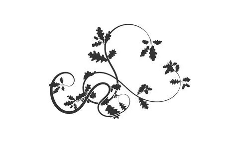 A new element for creating an oak weaving ornament Stock Illustration