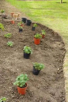 New empty flower bed Stock Photos