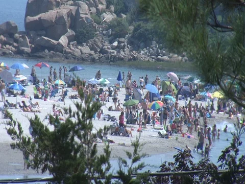 NEW ENGLAND BEACH AMONGST TREES AND ROCKS FAST SPEED Stock Footage 76610530
