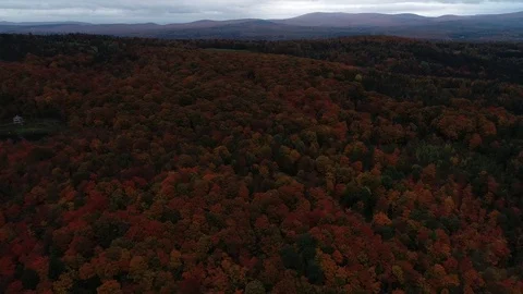 New England Fall Foliage Drone 4K Stock Footage 109228360