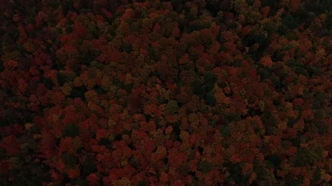 New England Fall Foliage Drone 4K Stock Footage 109228741