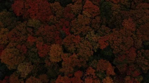 New England Fall Foliage Drone 4K Stock Footage 109229142