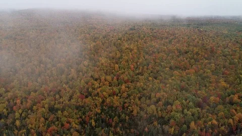 New England Fall Foliage Drone 4K Stock Footage 109229904