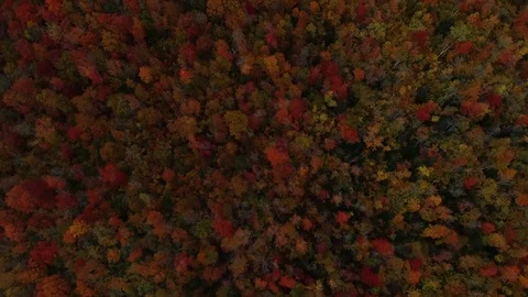New England Fall Foliage Drone 4K Stock Footage 122473369