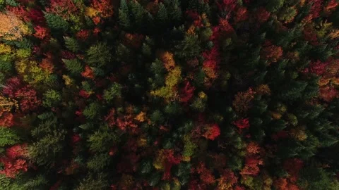 New England Fall Foliage Drone 4K Stock Footage 138180182