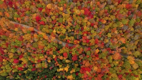 New England fall foliage drone Stock Footage 160439348