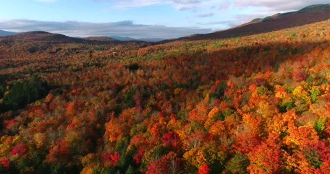 New England fall foliage drone Stock Footage 166858868