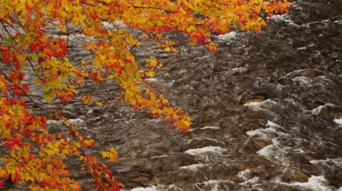 New England Fall foliage over a rocky river Stock Footage 47578095