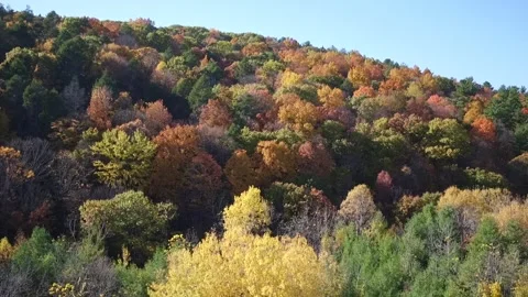 New England Fall Foliage Panorama Stock Footage 330066391