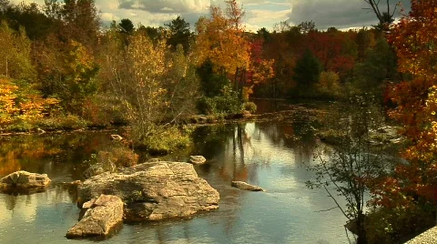 New England Fall Stream Stock Footage 667088