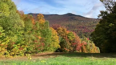 New England foliage from moving car Stock Footage