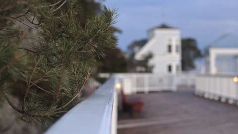 New England harbor Stock Footage 182908359
