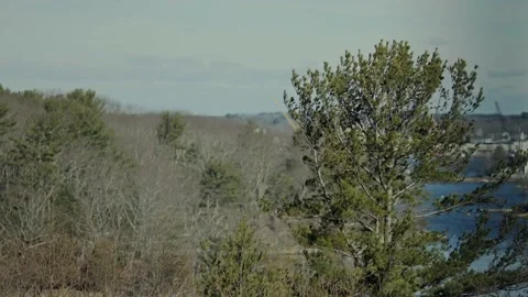New England Nature Stock Footage 182899896