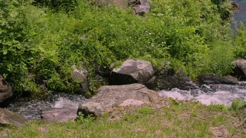 New England Town Stock Footage 170961707