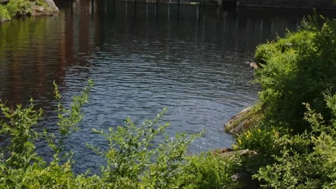 New England Town Video stock 170961714