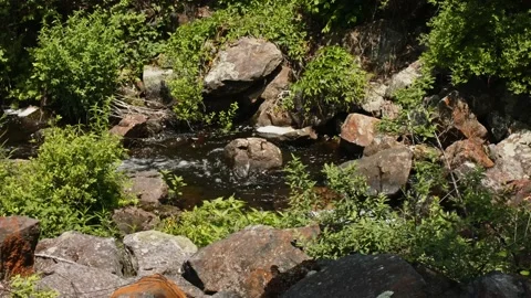 New England Town Stock Footage 170961734