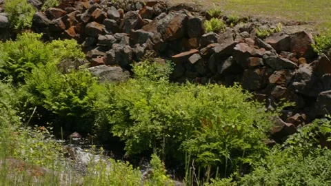 New England Town Stock Footage 170961745