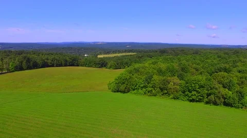 New England Trees Video stock 77630876