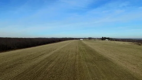 New England Trees Video stock 77631121