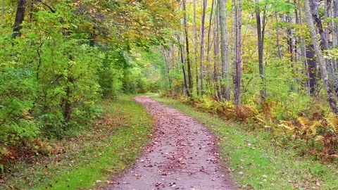 New England walking path with autumn leaves changing color in Massachusetts Stock Footage 166174439