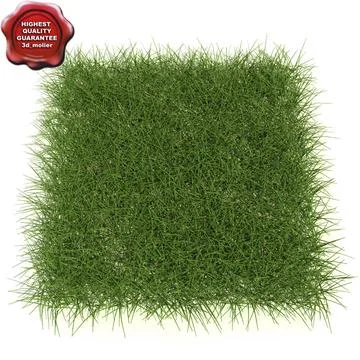 New England Warm Season Grass 3D Model