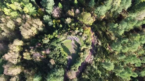 New Fancy View observation deck, Forest of Dean. Stockbeeldmateriaal 260628066