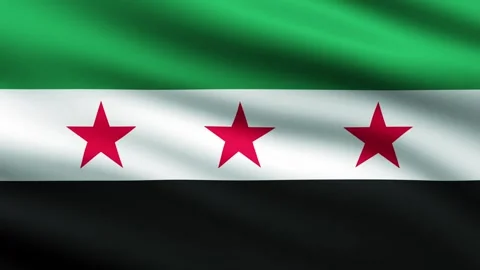 New flag of Syria loop animation background Stock Footage 299653538