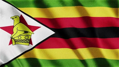 New Flag of Zimbabwe Stock Footage 343593399