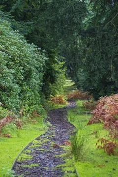 New Forest National Park during autumn, Brockenhurst, Hampshire, England, Uk Stock Photos
