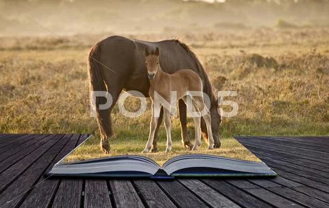 New forest pony mare and foal bathed in sunrise light in landscape with back Stock Illustration
