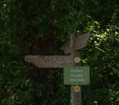 New Forest UK Stock Photos