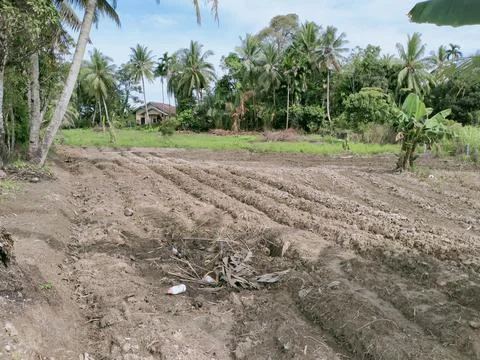 New garden plot Stock Photos
