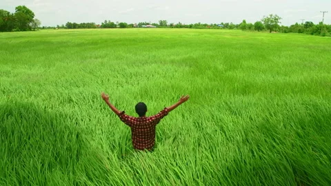 New generation of smart farmer working on the farm. Video stock 158745270