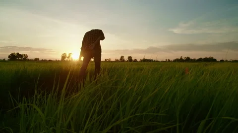 New generation of smart farmer working on the farm. Video stock 158745422