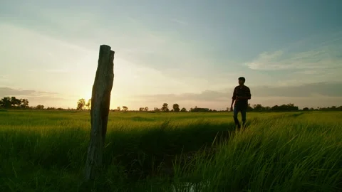 New generation of smart farmer working on the farm. Video stock 158745779