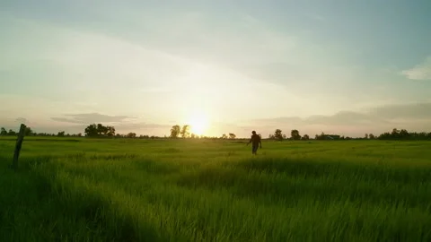 New generation of smart farmer working on the farm. Video stock 158745794