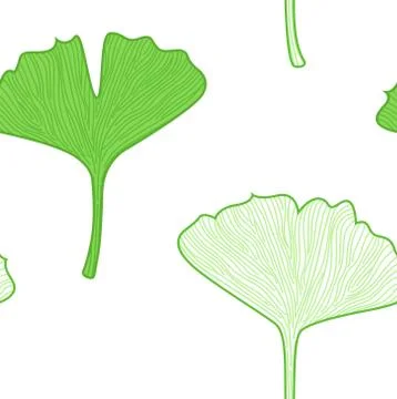 New Gingko pattern in shop : green and white Stock Illustration