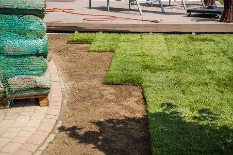 New Grass Installation Process Underway in a Backyard Space During Daytime Stock Photos
