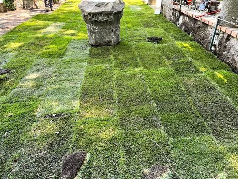 New grass turf being installed in a garden along new brick edging Stock Photos