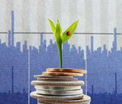 New growth chart Stock Photos