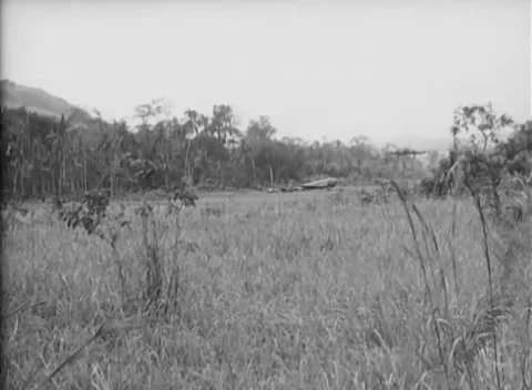 NEW GUINEA - 1944: Distant flight - Small aircraft above the treeline Vidéo 347228621